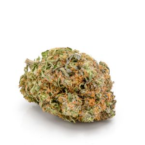 El Jefe Exotic Marijuana Strains