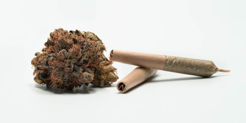 featured-image-weed-blog-1077OFIbLg4