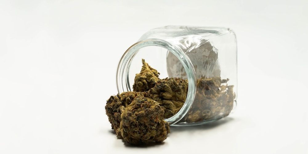 What Are the Benefits of the Melon Gum Strain of Weed? ONLYGAS