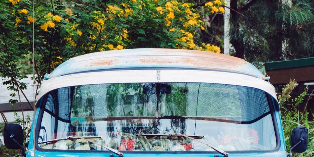 Are Chip Ahoy Edibles the Best Way to Enjoy Weed? ONLYGAS