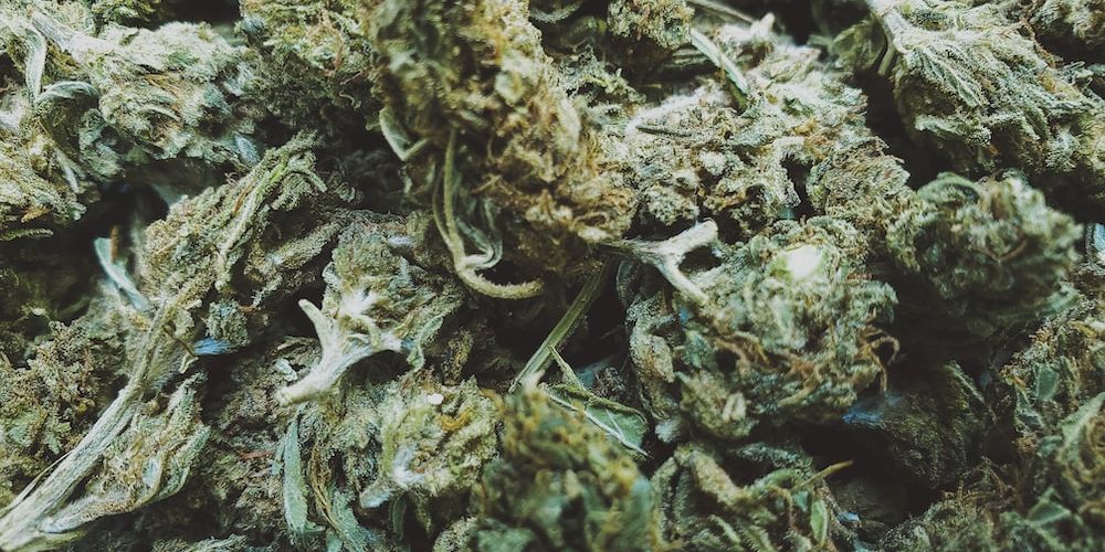 How Much Does a Dab Pen Cost? A Guide to Finding the Right Price for