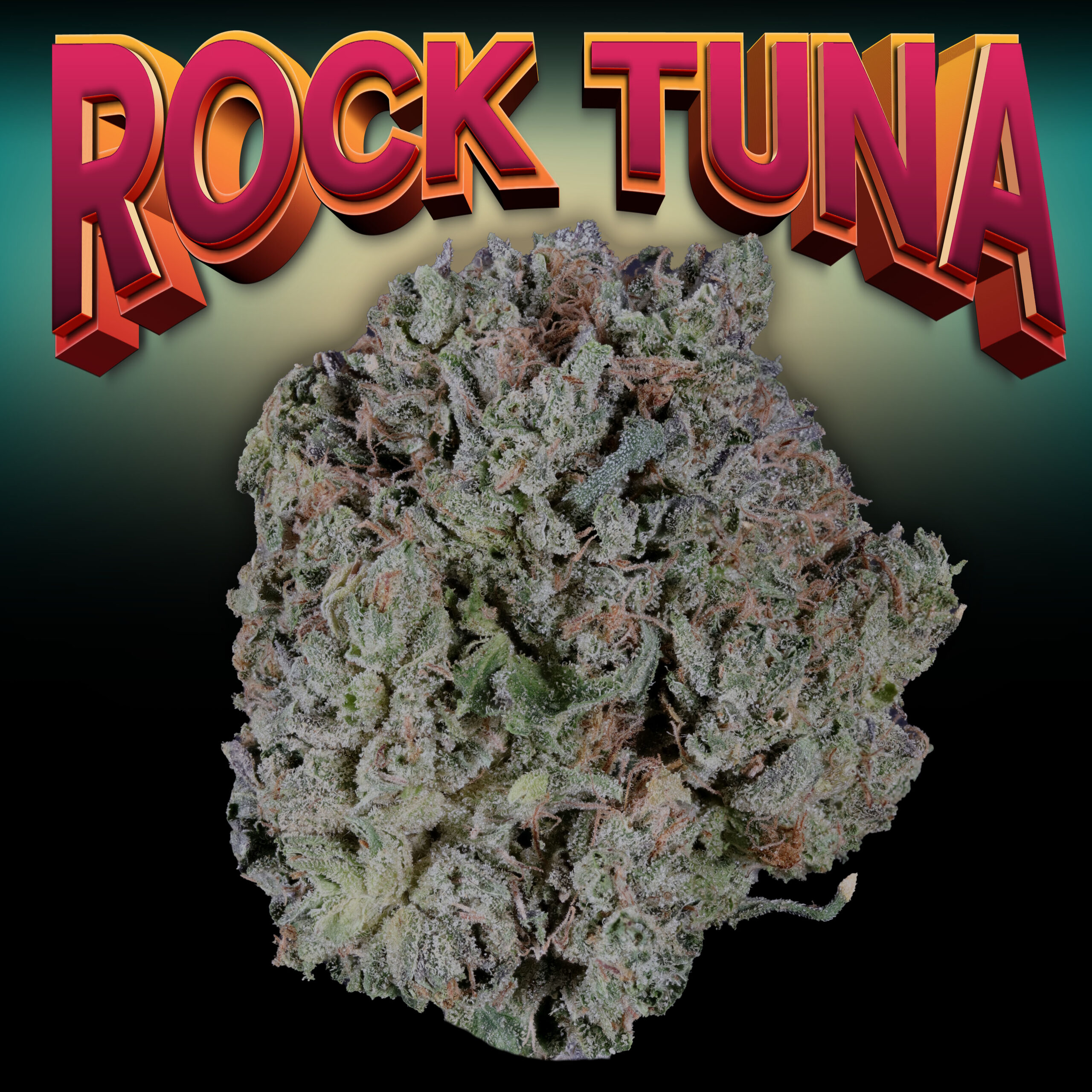 Rock Tuna Thumbnail