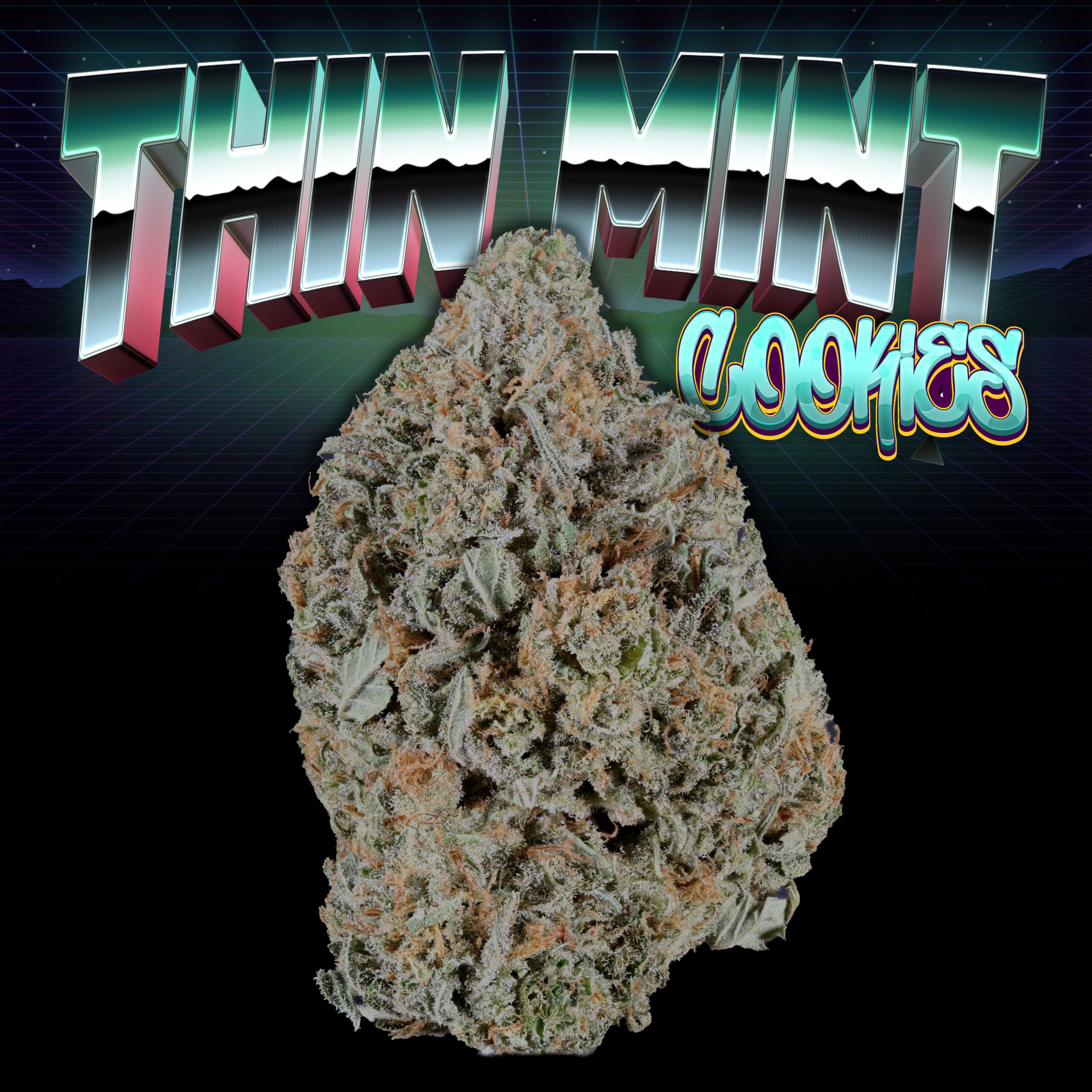 Thin Mint Cookies Thumbnail